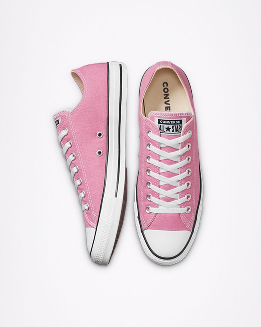 Tenisky Nizke Converse Chuck Taylor All Star Seasonal Color Damske Ruzove | SK CIFSE8